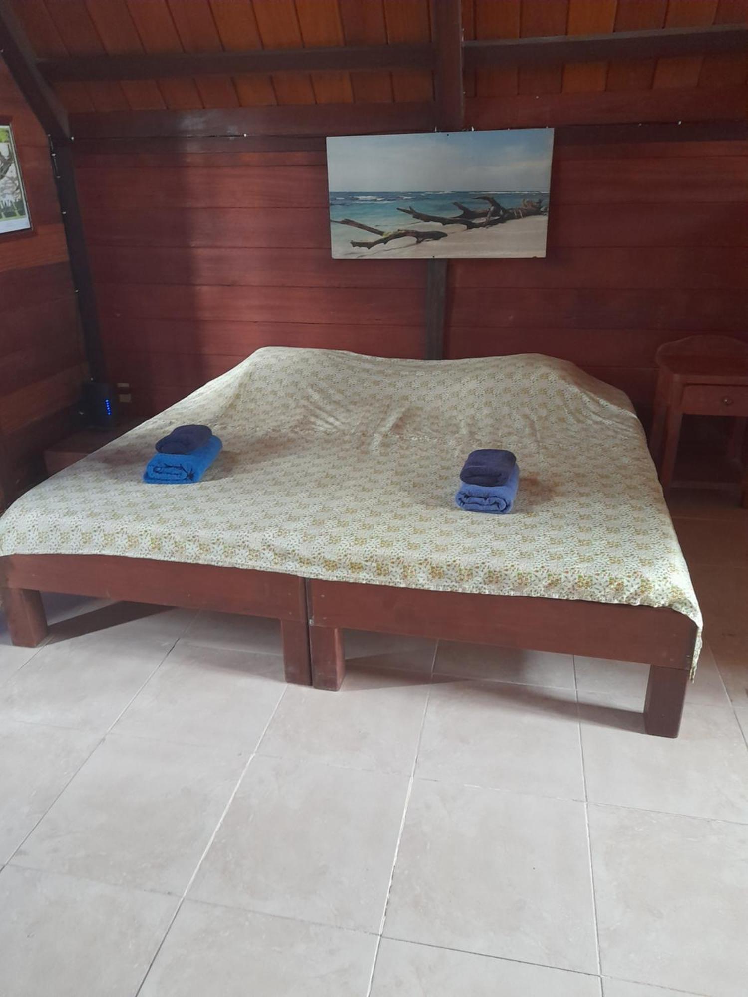 Charming Yellow Houses Loft-Style Apartment Bocas Town Dış mekan fotoğraf